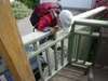 vid oliver climbs fence