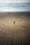 lincoln city view 2