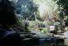 portland zoo 1