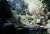 portland zoo 1