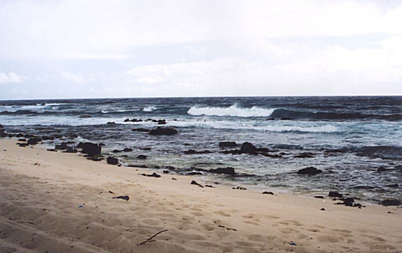 beach doom 1